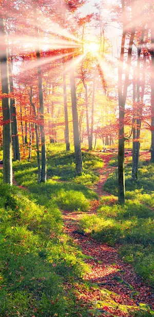 Sunbeam Wallpapers Screenshot 3