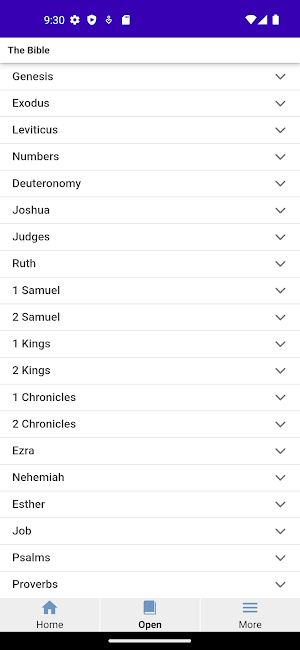 Holy Bible Screenshot 1
