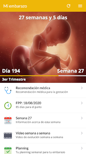 Instituto Palacios - Gestación Screenshot 1