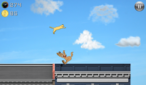 Run Cat Run Screenshot 3