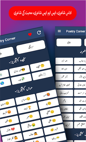 Urdu Saraiki Punjabi Peotry Screenshot 2