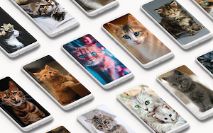 Cutest Cats Wallpaper 🐈😻 Screenshot 0