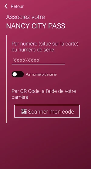 Nancy City Pass Screenshot 1