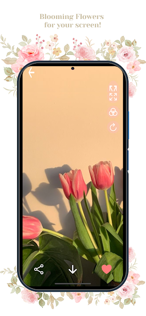 Bloom Wallpapers Screenshot 1