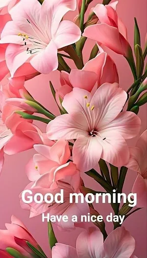 good morning images 2024 Screenshot 2