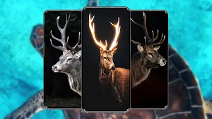 Deer Wallpaper Screenshot 0