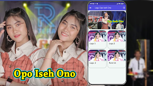 Lagu Opo Iseh Ono Screenshot 0