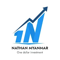 One Dollar Investment