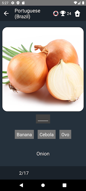 Brazilian Portuguese Tests Screenshot 3