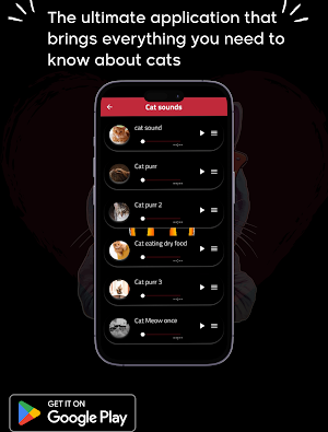 international cat day 2023 Screenshot 2
