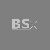 BeautySalonX