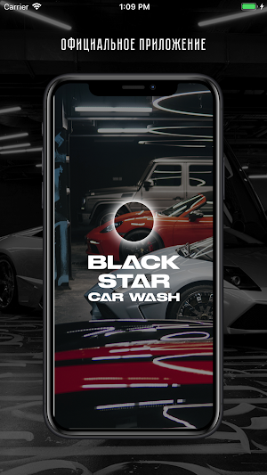 Black Star Car Wash Screenshot 0