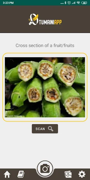 Tumaini Screenshot 2