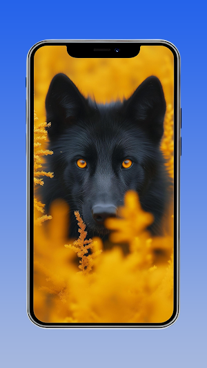 Prime Walls - HD Art Screenshot 3