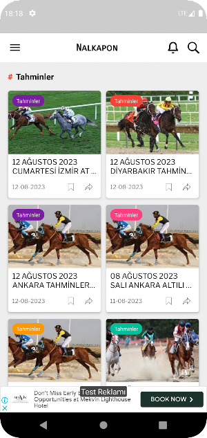 Horse Racing Tips/Predictions Screenshot 2