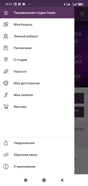 Студия танцев Danex Screenshot 2