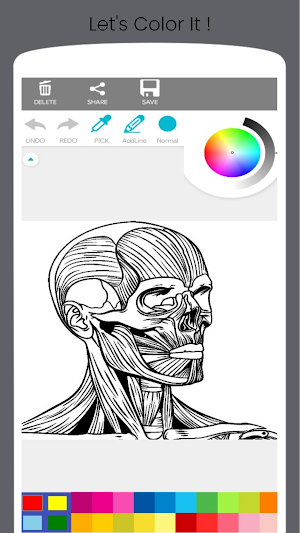 Human Anatomy Coloring Book Screenshot 3