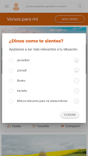 Vamos Juntos Screenshot 3
