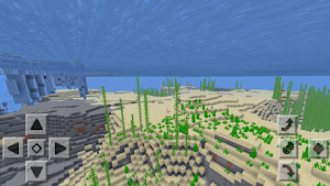 Bedrocktimize Minecraft Mod Screenshot 3