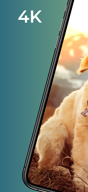 Puppy wallpapers-4k Background Screenshot 0