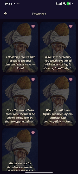 Rumi Quotes Screenshot 3