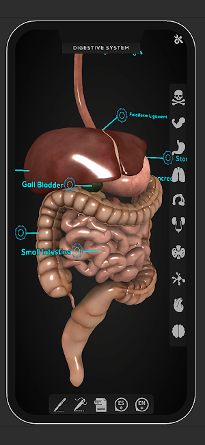 Virtual Medical Anatomy Screenshot 3