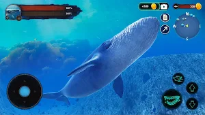 The Blue Whale Screenshot 2