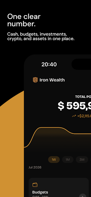 Iron Wealth: Net Worth Tracker Screenshot 1