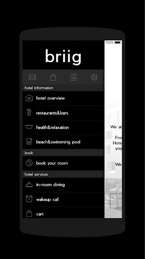 Briig Boutique Hotel Screenshot 1