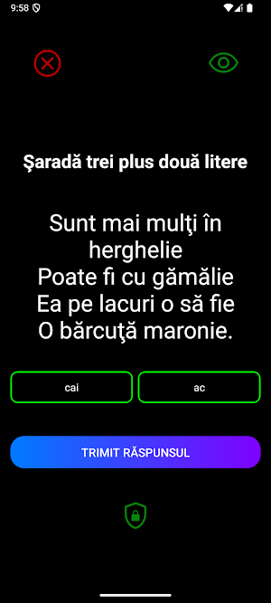 Sarade - cuvinte compuse Screenshot 2