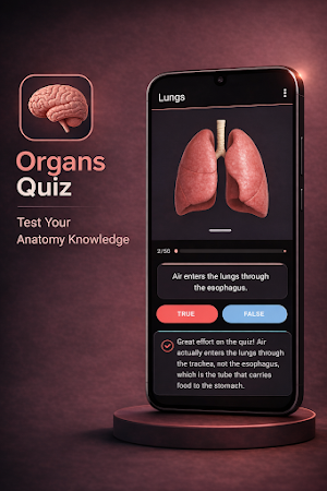 Organs Quiz Screenshot 3
