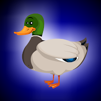 RescueTheMallardDuckInCage
