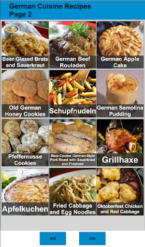 100 German Food Recipes Screenshot 1