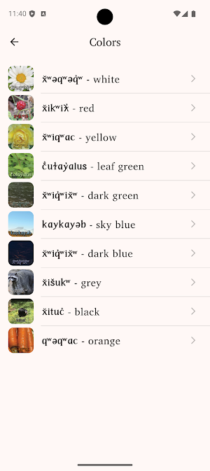 Nisqually First Language Screenshot 1