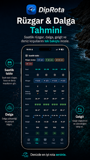 DipRota Screenshot 1