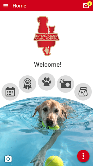 Buffalo Grove Animal Hospital Screenshot 0