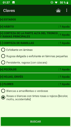 Madroños de México Screenshot 3