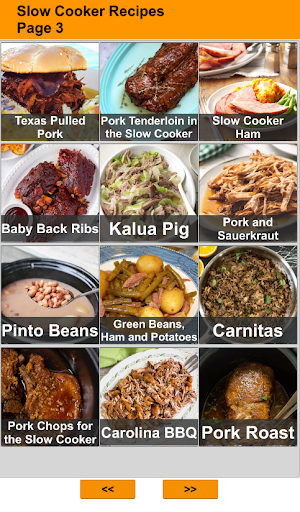 120 Slow Cooker Recipes Screenshot 2