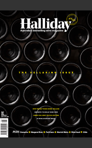 Halliday Magazine Screenshot 0