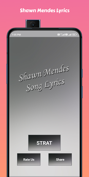 Shawn Mendes Song Lyrics Screenshot 1