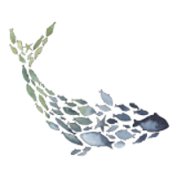 LITTLE FISH CA