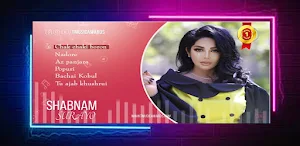 Kumpulan Lagu Arab Mp3 Offline Screenshot 2