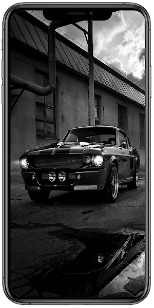 Cars Wallpapers HD Screenshot 0