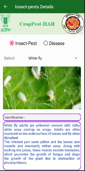 Crop Pest Haryana Screenshot 2