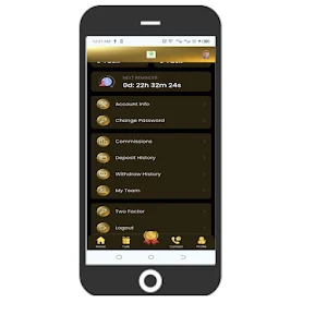 ideal-pakistan Screenshot 2