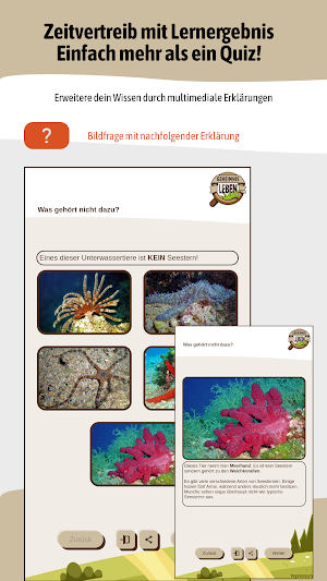 Geheimnis-Leben MultimediaQuiz Screenshot 1