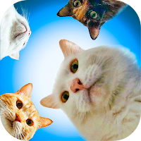 Cute Cat Stickers for WhatsApp