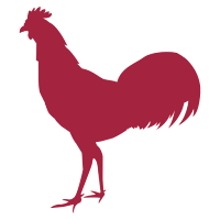 Country Chicken Co