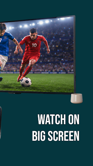 Screen Mirroring: View TV Cast Screenshot 1