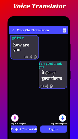 Punjabi Translation Screenshot 2